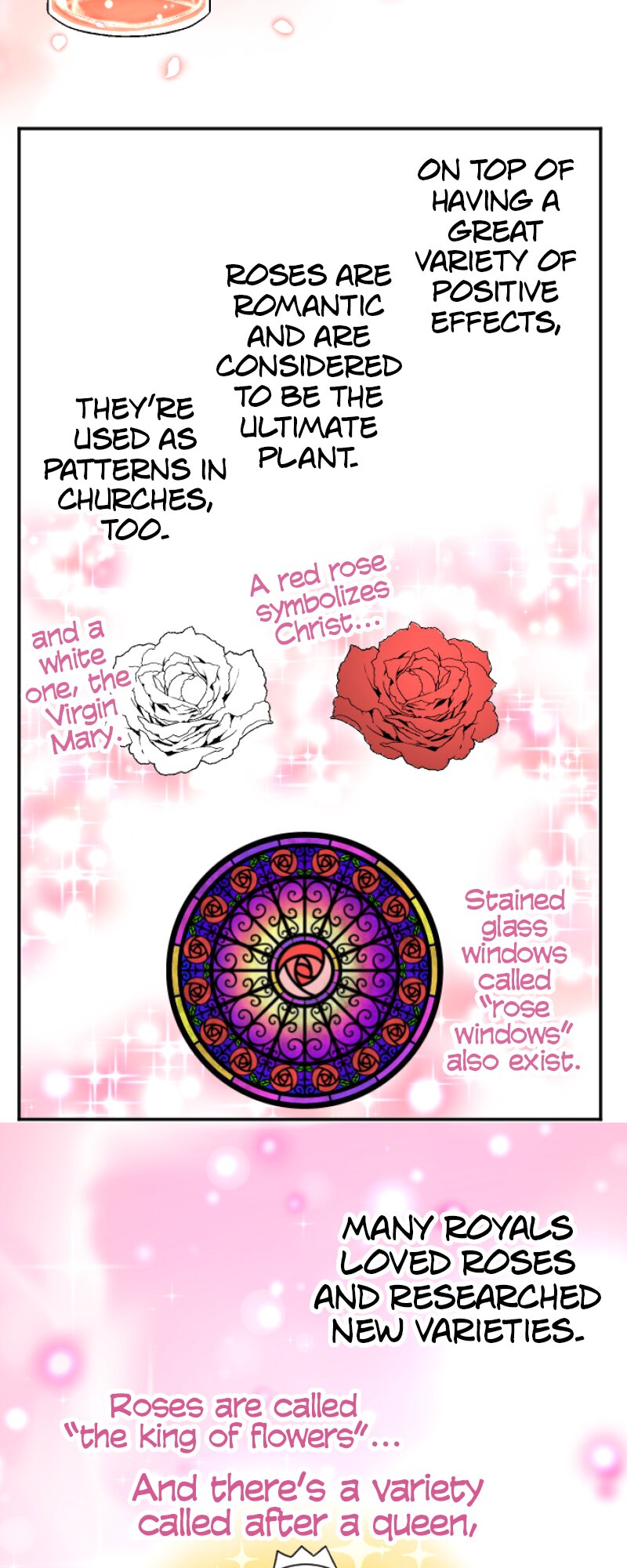 60362216 800 2000 254986